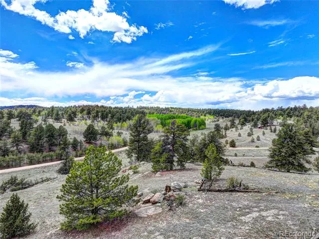 33 Jasper Way Hartsel, CO 80449