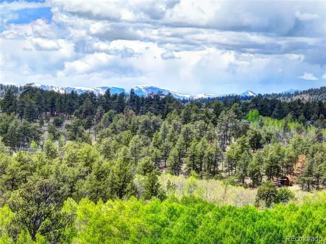 33 Jasper Way Hartsel, CO 80449