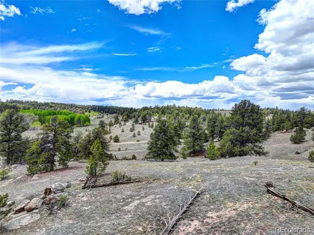 33 Jasper Way Hartsel, CO 80449