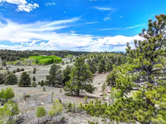 33 Jasper Way Hartsel, CO 80449