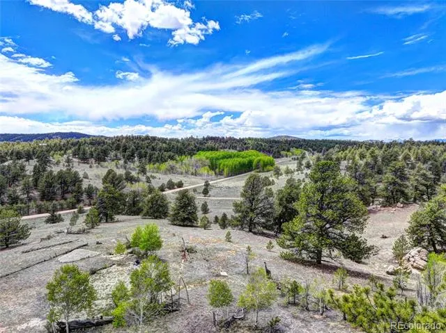 33 Jasper Way Hartsel, CO 80449