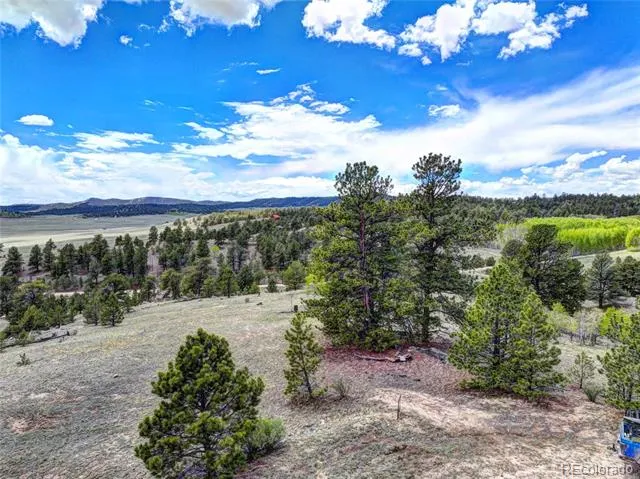 33 Jasper Way Hartsel, CO 80449
