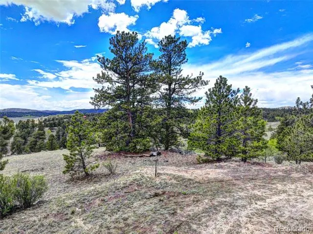 33 Jasper Way Hartsel, CO 80449