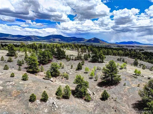 33 Jasper Way Hartsel, CO 80449