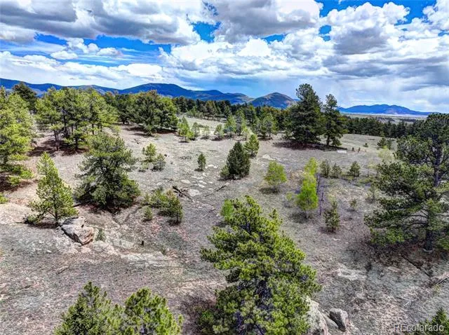 33 Jasper Way Hartsel, CO 80449