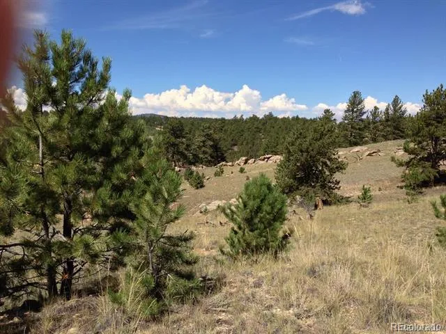 33 Jasper Way Hartsel, CO 80449