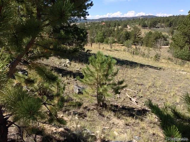 33 Jasper Way Hartsel, CO 80449