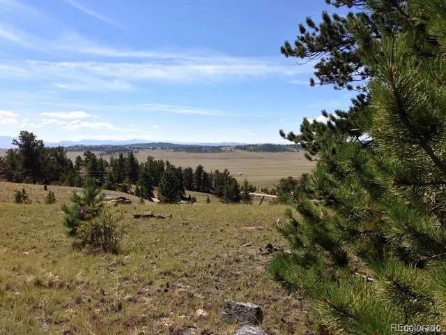33 Jasper Way Hartsel, CO 80449