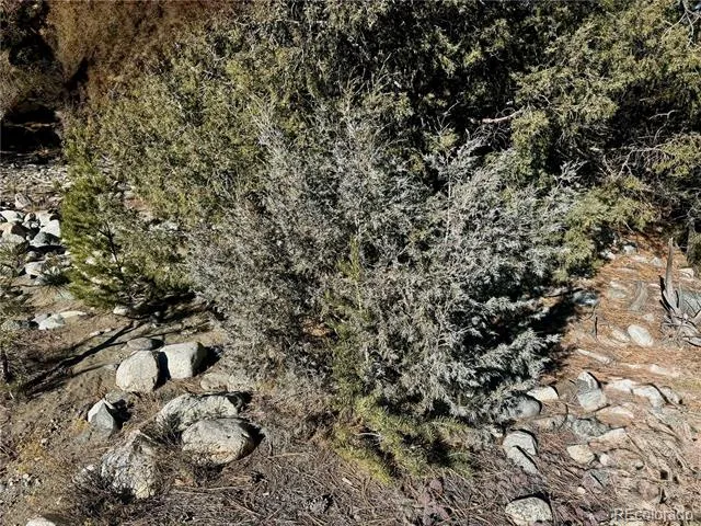 00021,23,25 Moki Place Mosca, CO 81146