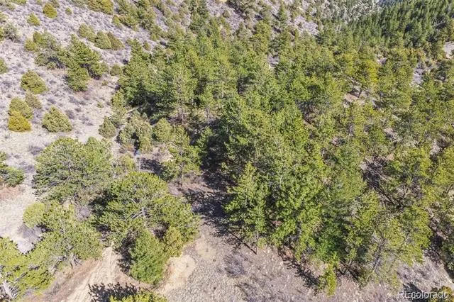 Wild Wagoner Tr Dumont, CO 80452