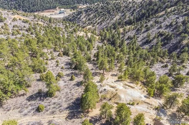 Wild Wagoner Tr Dumont, CO 80452