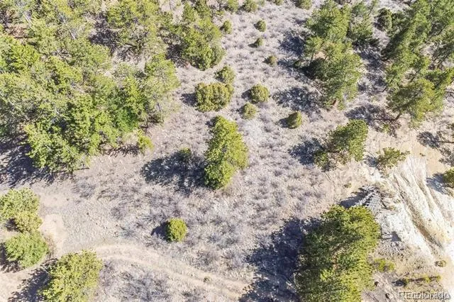Wild Wagoner Tr Dumont, CO 80452