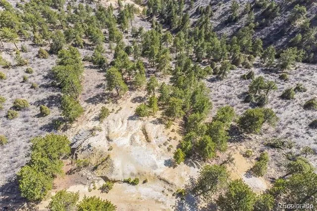 Wild Wagoner Tr Dumont, CO 80452