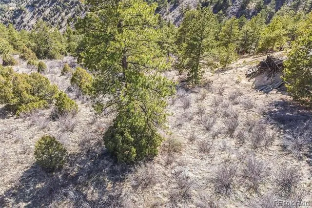 Wild Wagoner Tr Dumont, CO 80452