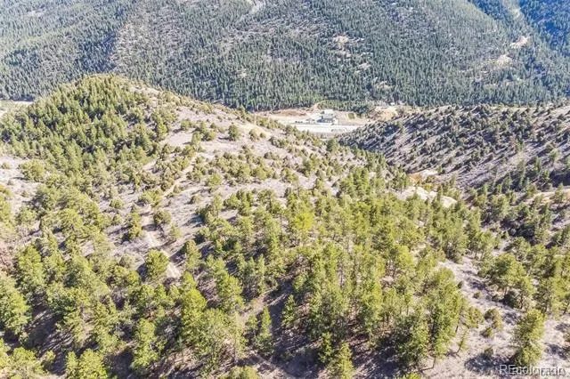 Wild Wagoner Tr Dumont, CO 80452