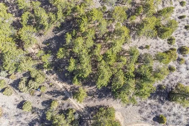 Wild Wagoner Tr Dumont, CO 80452
