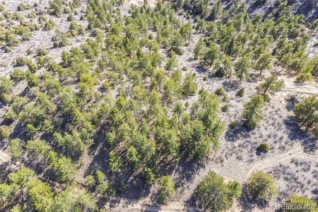 Wild Wagoner Tr Dumont, CO 80452