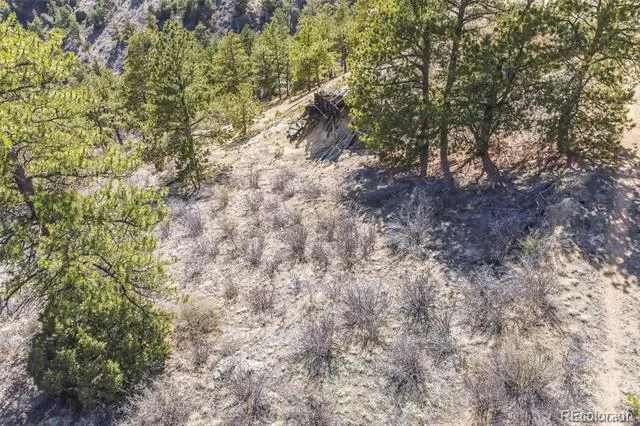 Wild Wagoner Tr Dumont, CO 80452