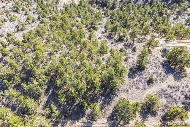 Wild Wagoner Tr Dumont, CO 80452