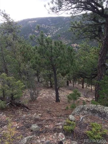 Wild Wagoner Tr Dumont, CO 80452
