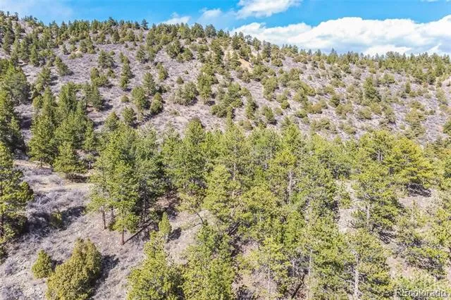 Wild Wagoner Tr Dumont, CO 80452