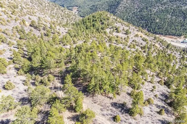 Wild Wagoner Tr Dumont, CO 80452