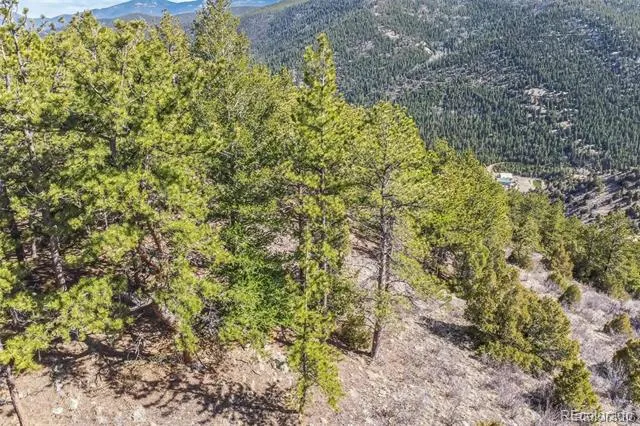 Wild Wagoner Tr Dumont, CO 80452