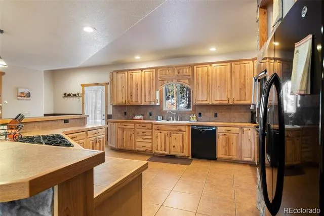 412 Evergreen Road Black Hawk, CO 80422