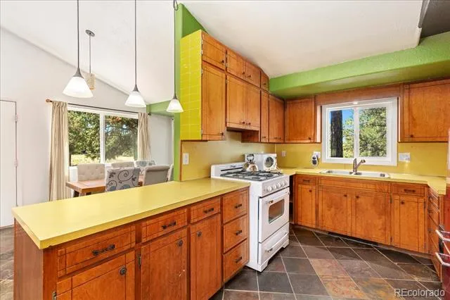 296 Palomino Way Crestone, CO 81131