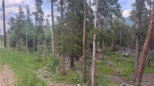 Lot 30 Lodge Pole Drive Black Hawk, CO 80422