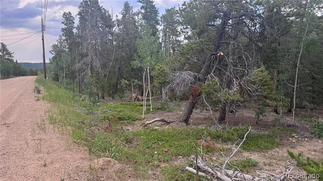 Lot 30 Lodge Pole Drive Black Hawk, CO 80422