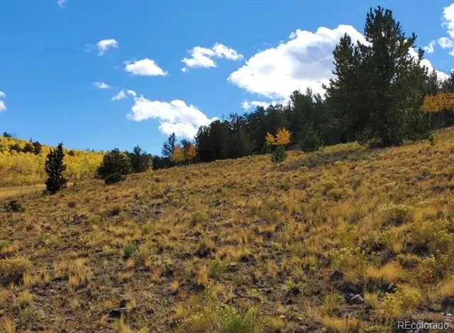 2000 Hard Hickory Trail Guffey, CO 80820