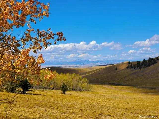 2000 Hard Hickory Trail Guffey, CO 80820