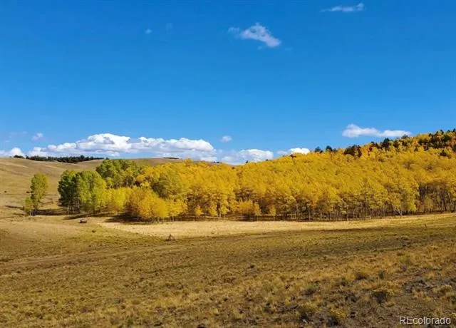 2000 Hard Hickory Trail Guffey, CO 80820