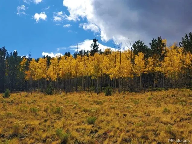 2000 Hard Hickory Trail Guffey, CO 80820