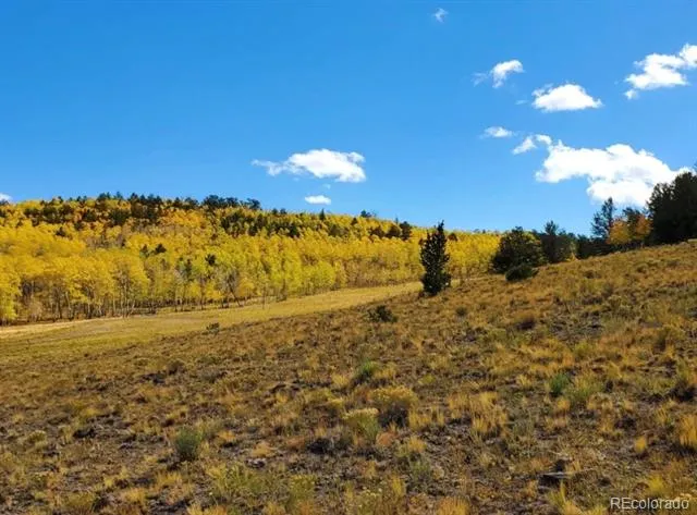 2000 Hard Hickory Trail Guffey, CO 80820