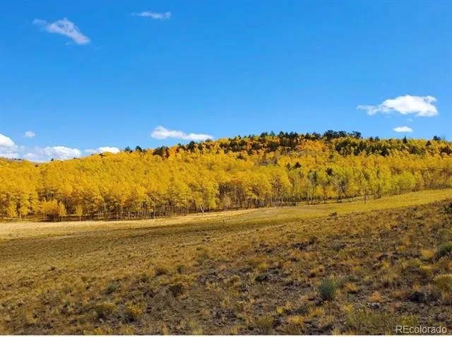 2000 Hard Hickory Trail Guffey, CO 80820