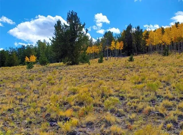 2000 Hard Hickory Trail Guffey, CO 80820