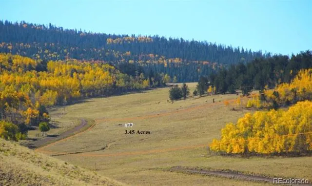 2000 Hard Hickory Trail Guffey, CO 80820