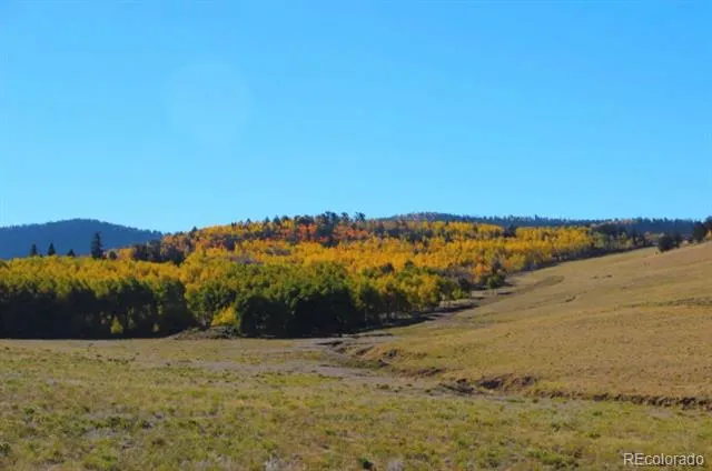 2000 Hard Hickory Trail Guffey, CO 80820