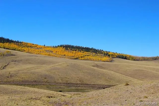 2000 Hard Hickory Trail Guffey, CO 80820