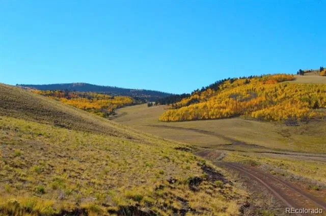 2000 Hard Hickory Trail Guffey, CO 80820
