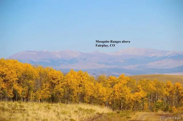 2000 Hard Hickory Trail Guffey, CO 80820