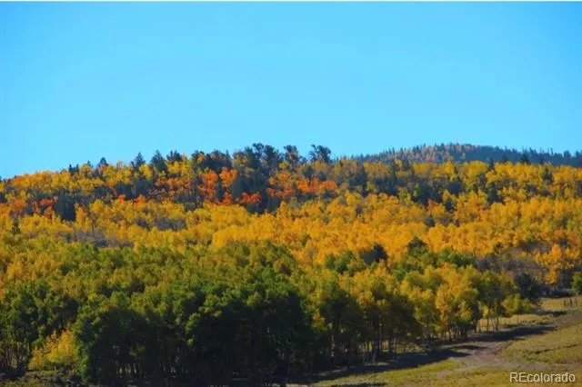 2000 Hard Hickory Trail Guffey, CO 80820