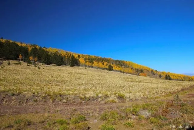 2000 Hard Hickory Trail Guffey, CO 80820
