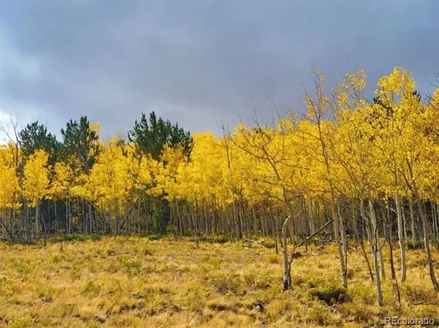 2000 Hard Hickory Trail Guffey, CO 80820