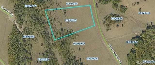 2000 Hard Hickory Trail Guffey, CO 80820