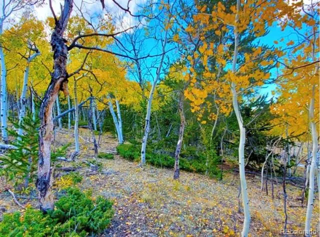 2000 Hard Hickory Trail Guffey, CO 80820