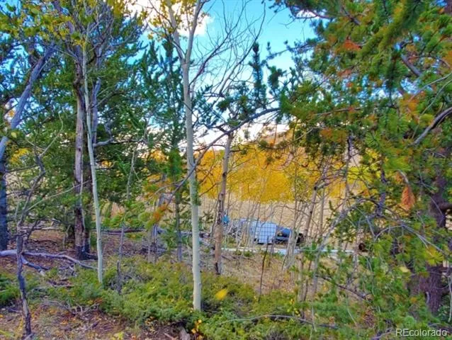 2000 Hard Hickory Trail Guffey, CO 80820
