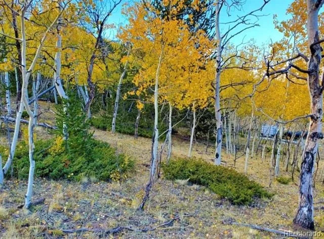2000 Hard Hickory Trail Guffey, CO 80820